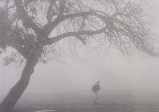 सर्दियों के कोहरे का कड़ा पहरा