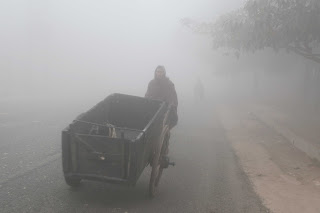 The Chilling Embrace of Winter Fog