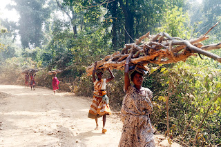 Firewood Collections – A Glimpse into the Lives of Tribal Women in Jharkhand