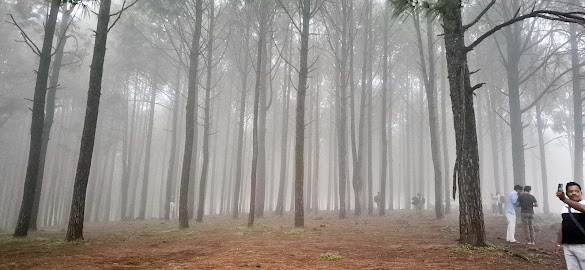 नेतरहाट – छोटानागपुर की रानी की प्राकृतिक सुंदरता 🌿✨