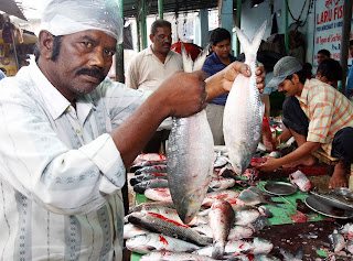 Illish Fish, A Culinary Adventure in Kolkata.