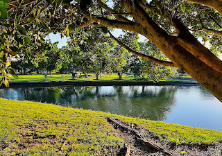 आइसलिंगटन पार्क, ऑस्ट्रेलिया में सुबह की धूप