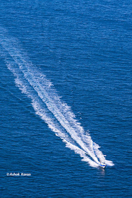 🚤 Jet Boat Adventure at Nelson Bay, Australia