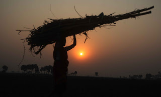 Farm Laborers, The Unsung Heroes of Our Food System.