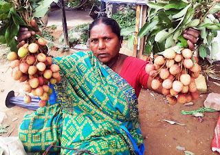 Luscious Lychees Make a Sweet Comeback in the City!