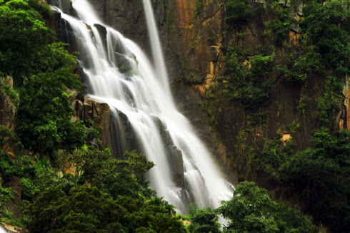 लोध जलप्रपात – जंगल के बीच प्रकृति की गर्जना