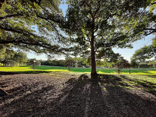 लंबी छाया और उन्हें कैप्चर करने की कला