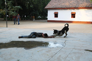 Man and Dog – A Bond Beyond Words