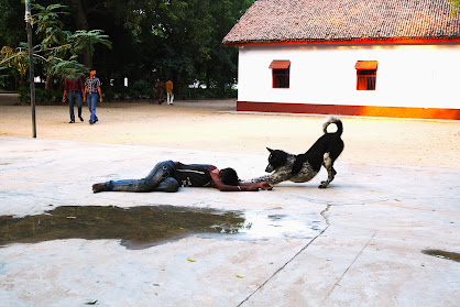 इंसान और कुत्ता – शब्दों से परे एक बंधन