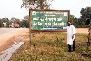The Delicate Dance, Elephants notice
