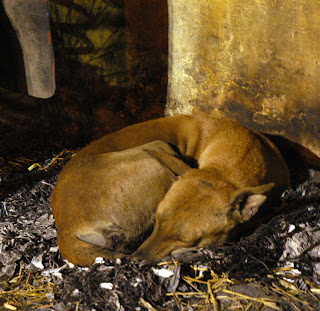 यह सिर्फ एक संयोग है कि