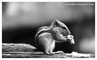 लेंस का विकास: फिक्स्ड फोकल लेंथ से बहुमुखी जूम तक