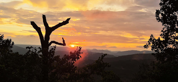 Nature’s Canvas – Netarhat