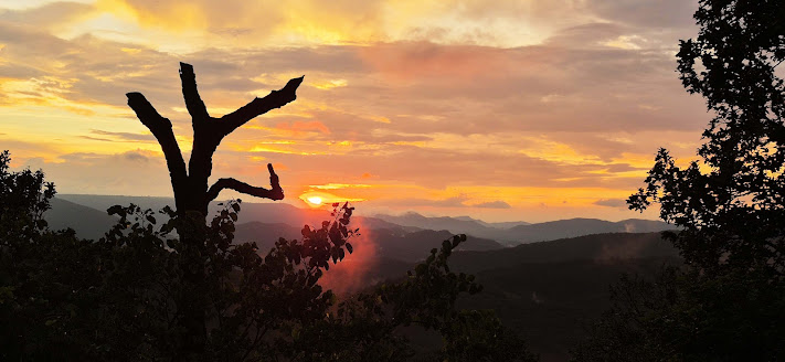 प्रकृति का कैनवास – नेतरहाट