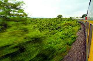 The Allure of Train Travel