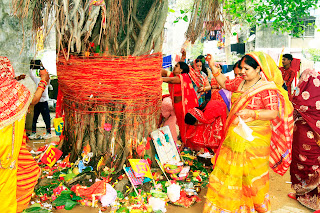 Vat Savitri Puja: A Celebration of Devotion, Love, and Tradition
