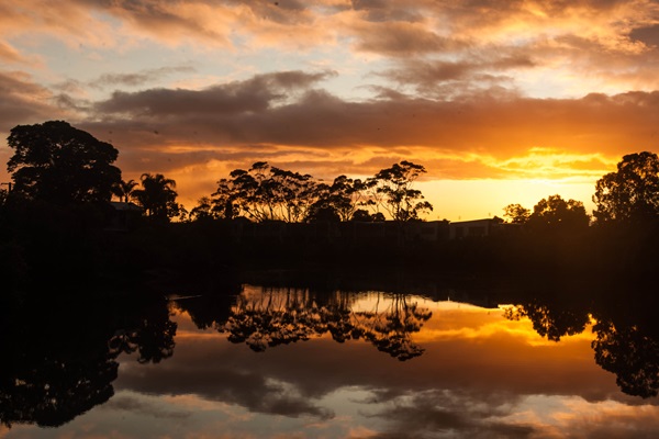 Sunrise at Islington Park